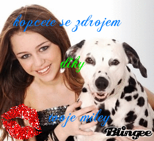 kopcit.gif